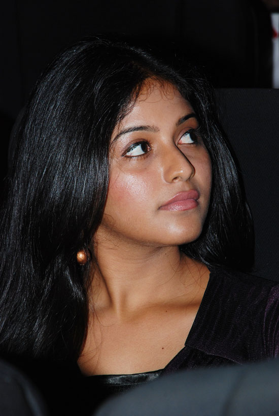 Anjali (Actress) - Untitled Gallery | Picture 19561